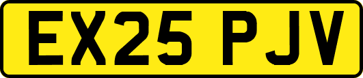 EX25PJV