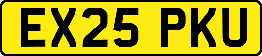 EX25PKU
