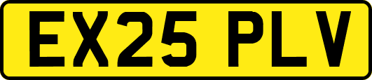 EX25PLV
