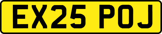 EX25POJ