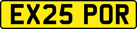 EX25POR