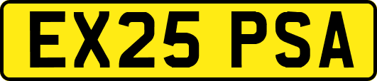 EX25PSA