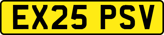 EX25PSV