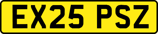 EX25PSZ