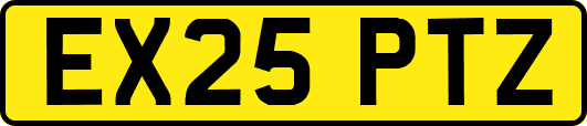 EX25PTZ
