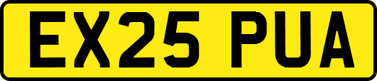 EX25PUA