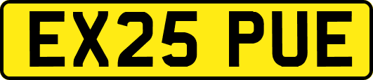 EX25PUE