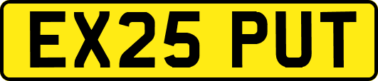 EX25PUT