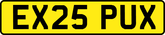 EX25PUX