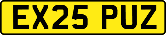 EX25PUZ