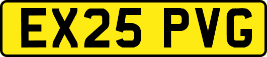 EX25PVG