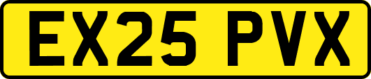 EX25PVX
