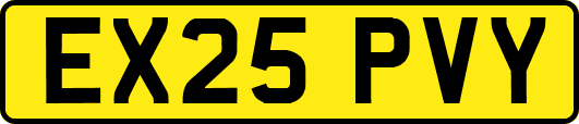 EX25PVY