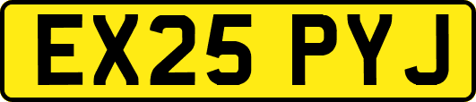 EX25PYJ