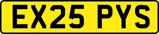 EX25PYS