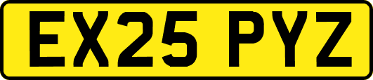 EX25PYZ