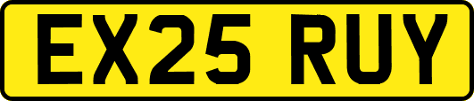 EX25RUY