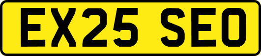 EX25SEO