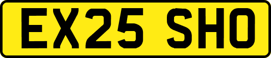 EX25SHO