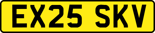 EX25SKV