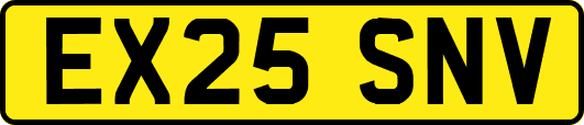 EX25SNV