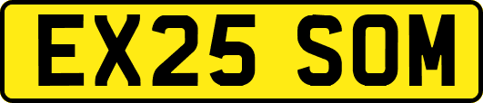EX25SOM