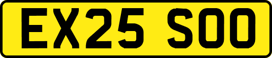 EX25SOO