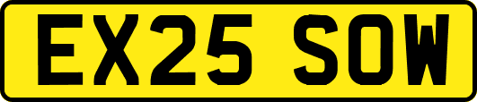 EX25SOW