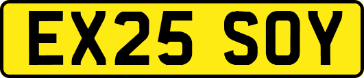 EX25SOY