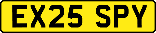 EX25SPY