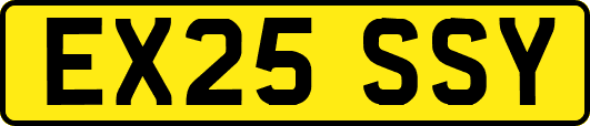 EX25SSY