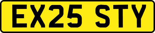 EX25STY