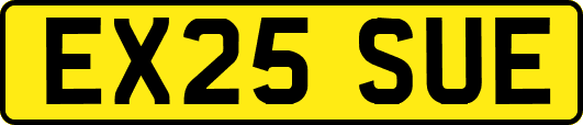 EX25SUE