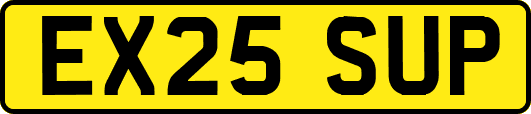 EX25SUP