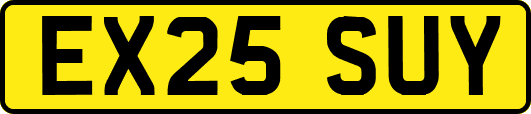 EX25SUY