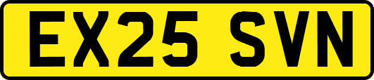 EX25SVN