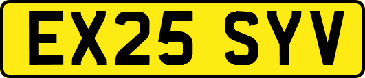EX25SYV