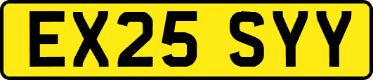 EX25SYY