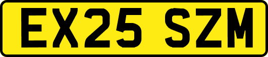 EX25SZM