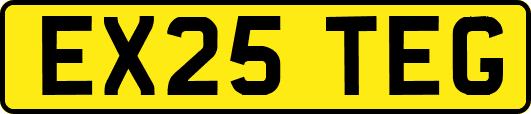 EX25TEG