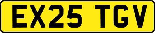 EX25TGV