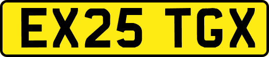EX25TGX