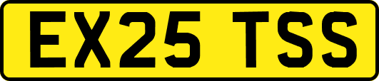 EX25TSS
