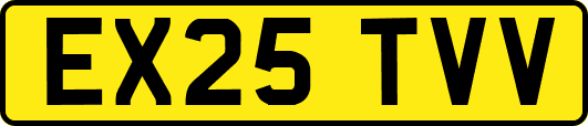 EX25TVV