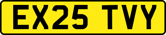 EX25TVY