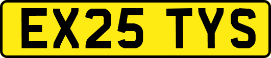 EX25TYS