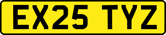 EX25TYZ