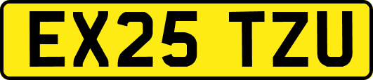 EX25TZU