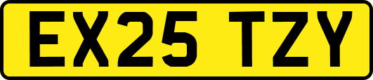EX25TZY