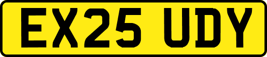 EX25UDY